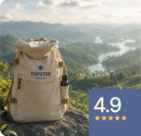 Рюкзак Topster