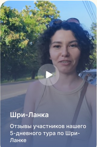Отзывы участников